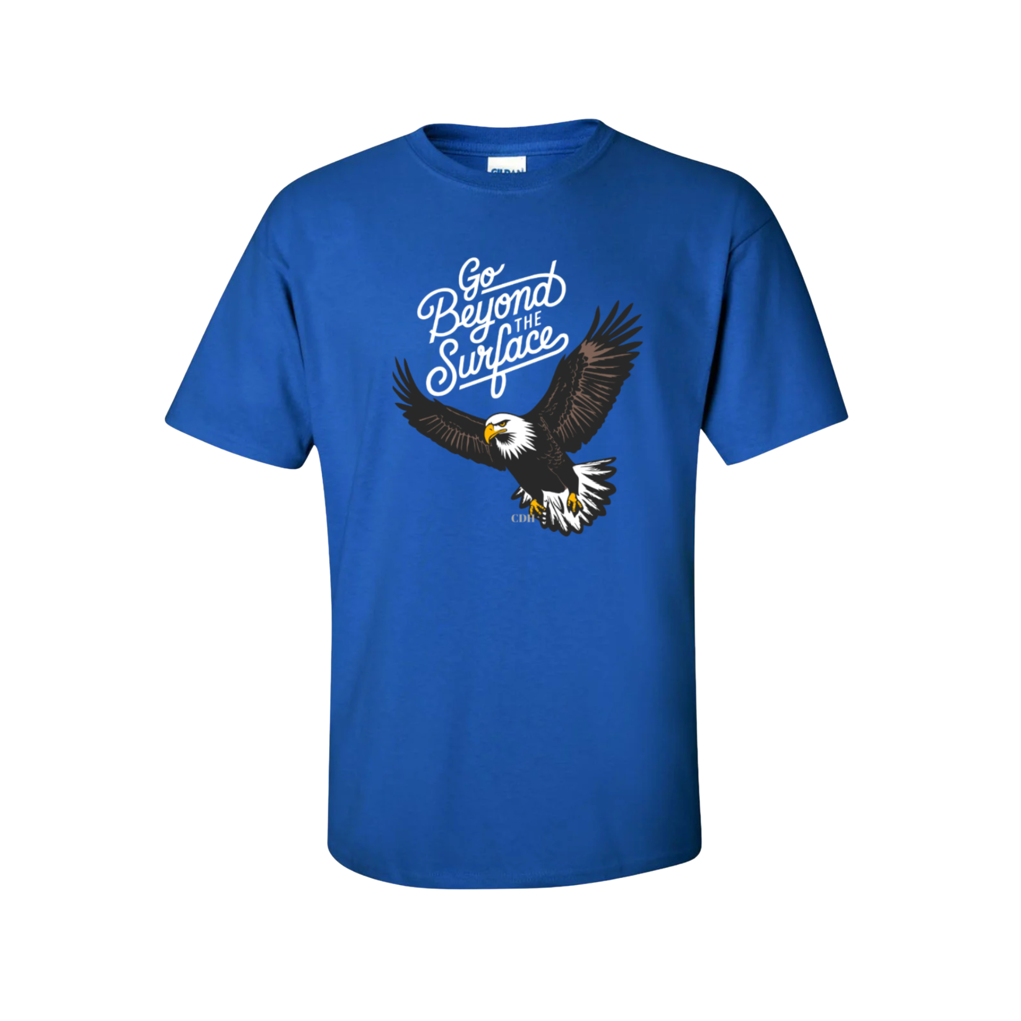 Go Beyond the Surface T shirts  Design-1 count