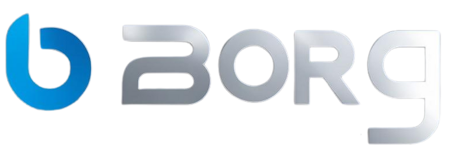 Just a logo Borg Web Digital