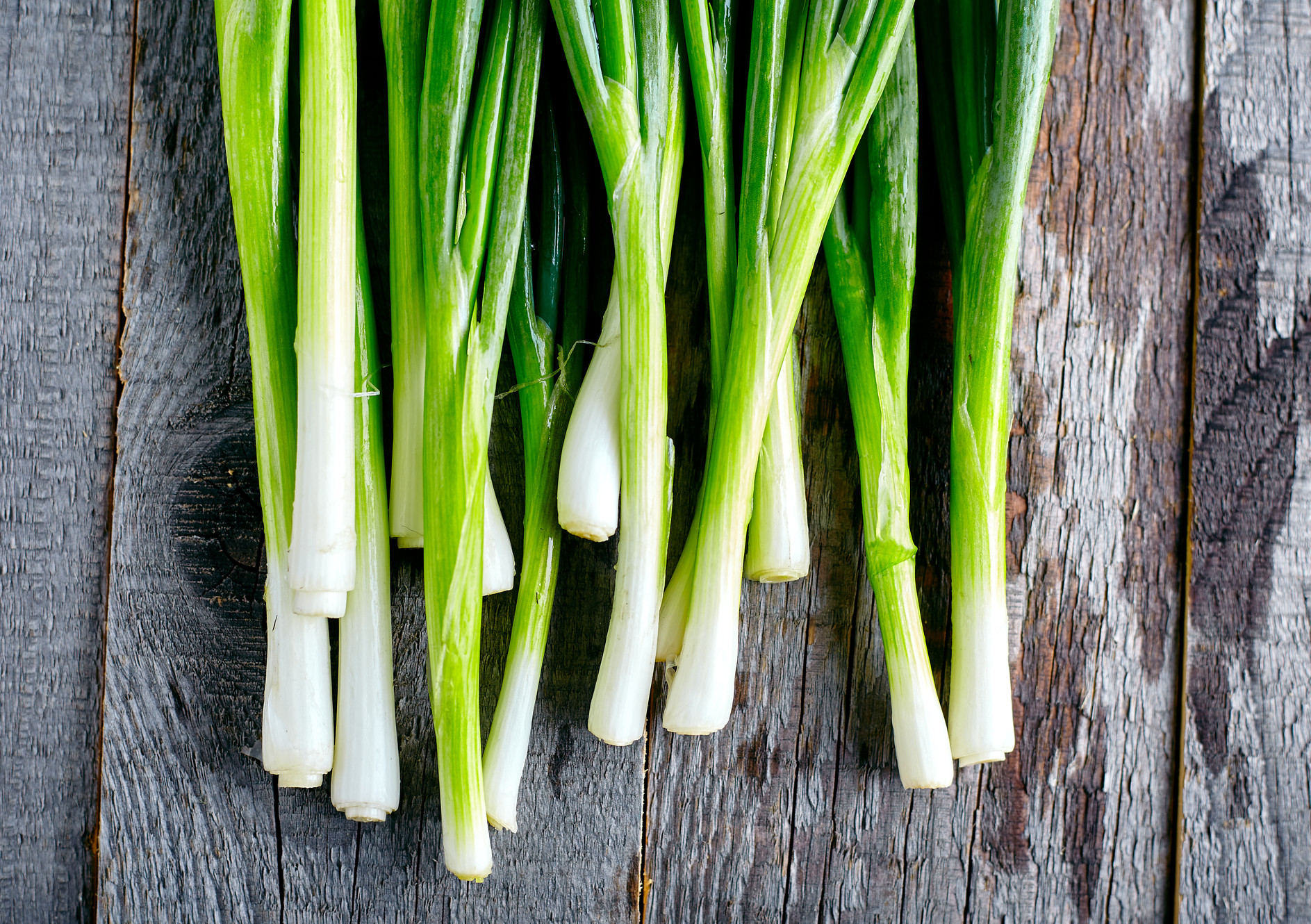 Scallions Scallions
