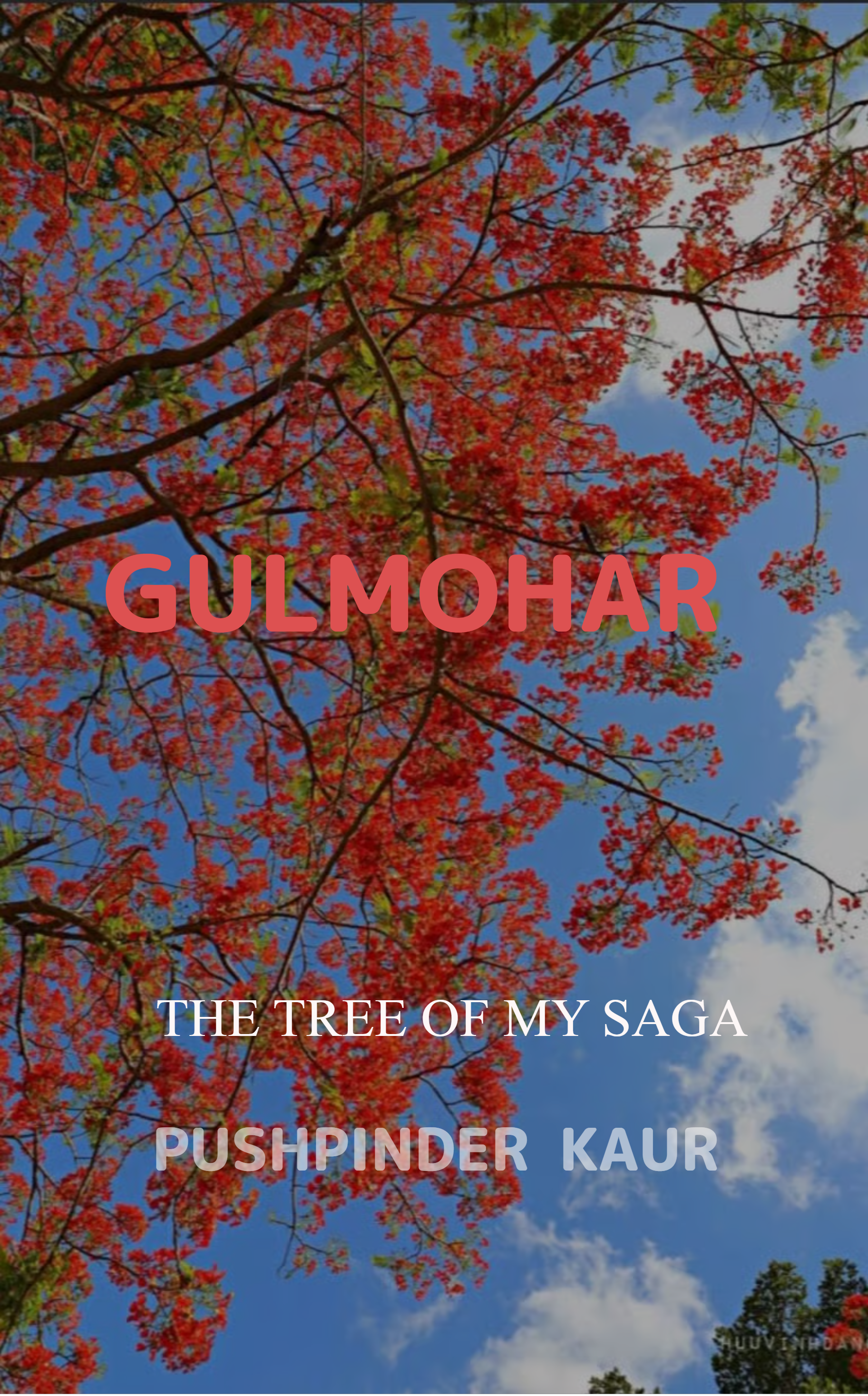 Gulmohar 