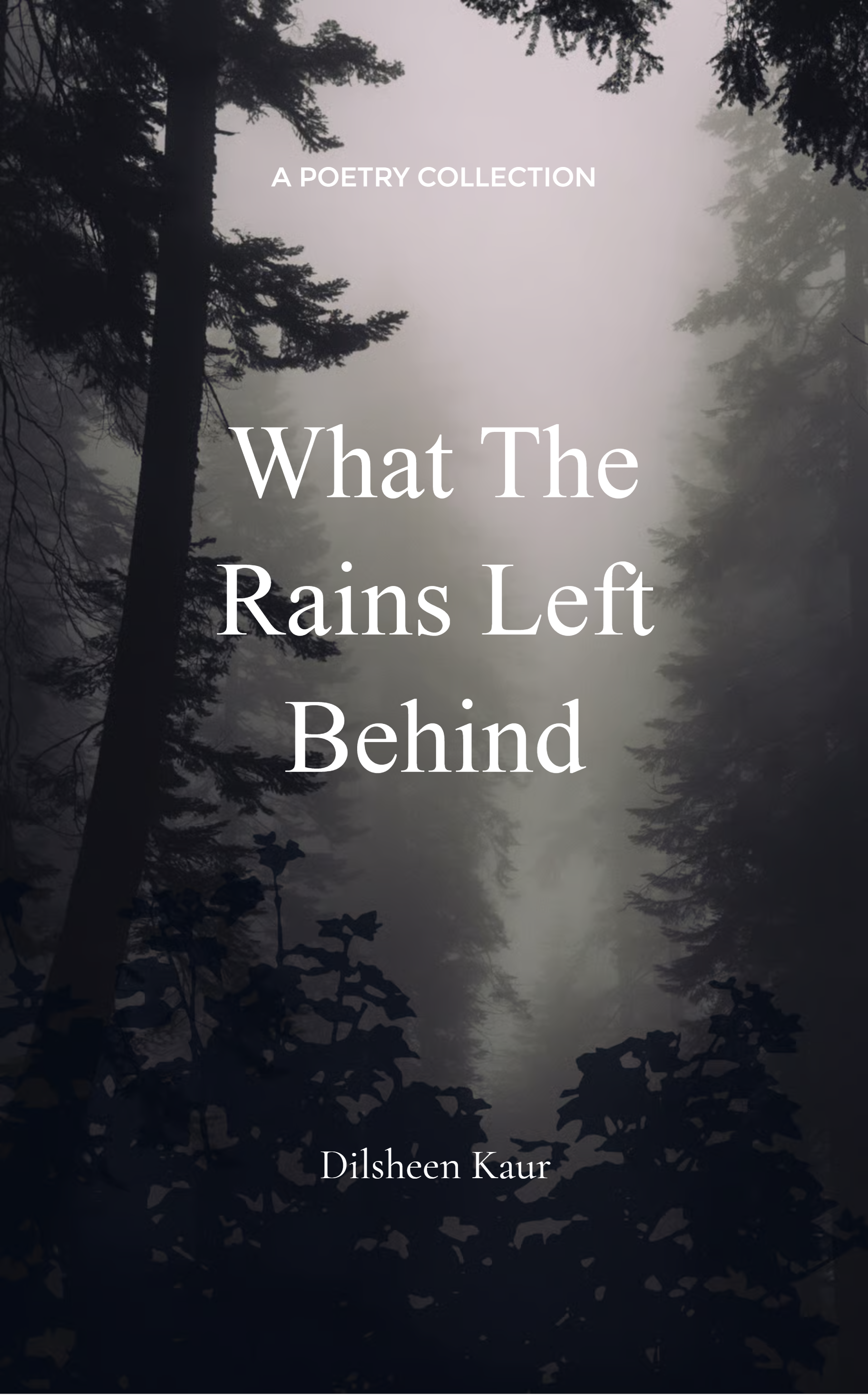 What The Rains Left Behind