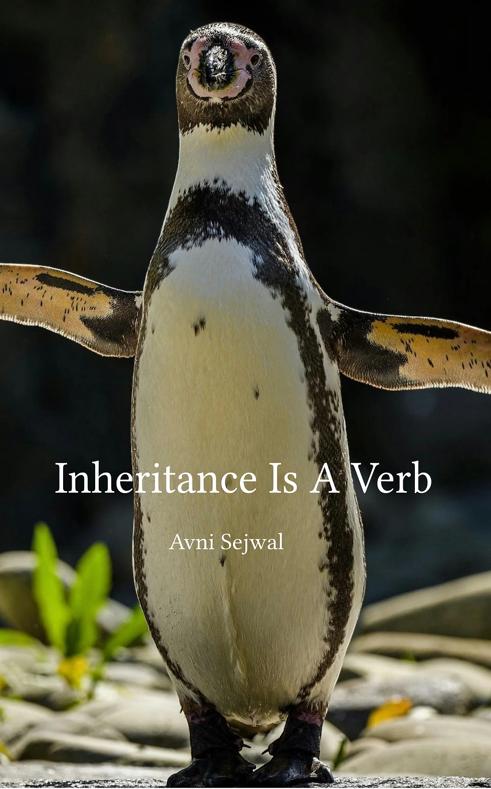 Thumbnail: Inheritance is a verb