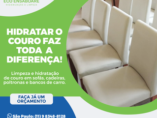 Hidratar o Couro faz toda a Diferença
