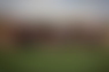 Bushland Falcon and Lady Falcon Area Track Results