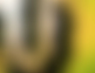 A Rampant, Messy, Torrent Stream of Consciousness On Intimacy