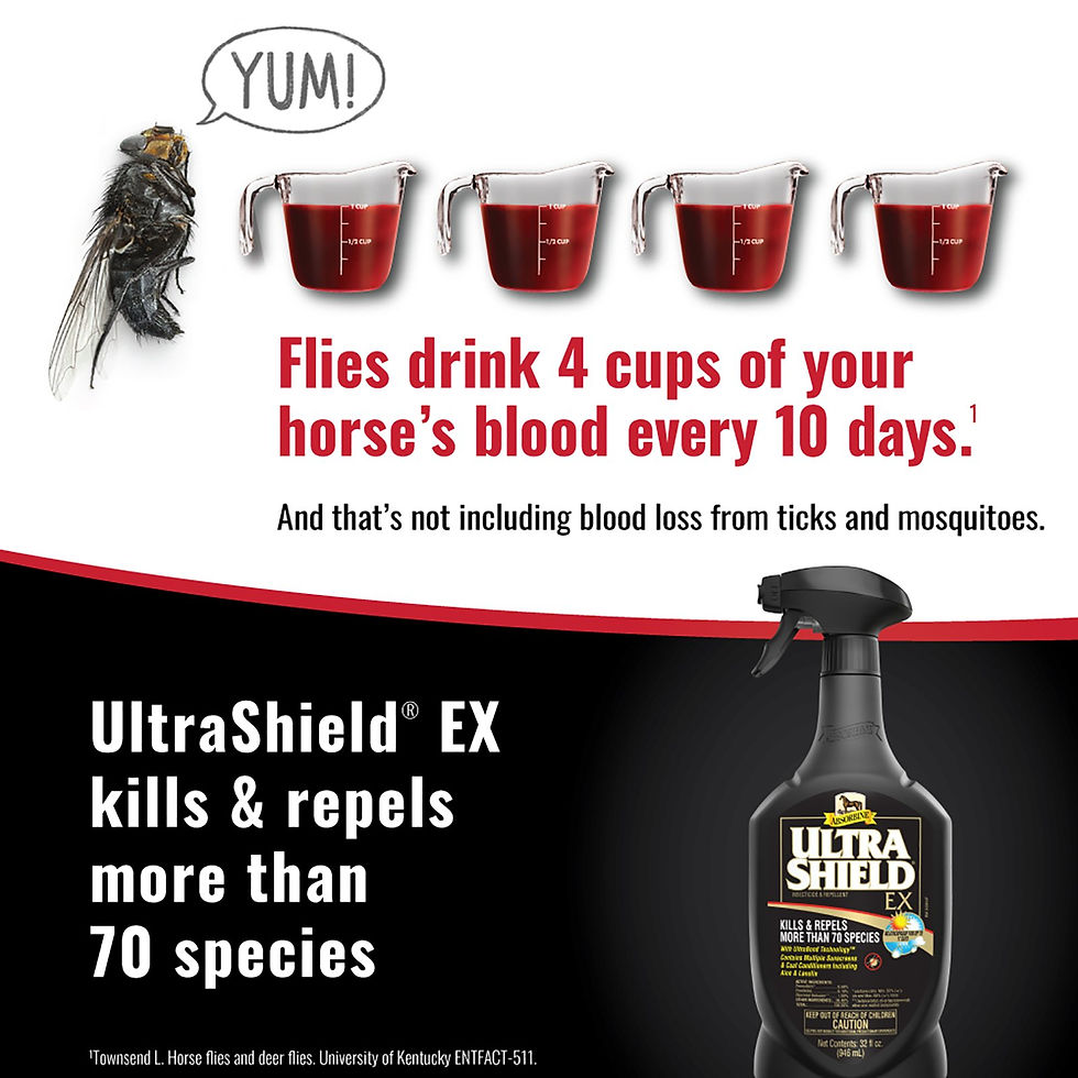 Miniaturbild: UltraShield Black®