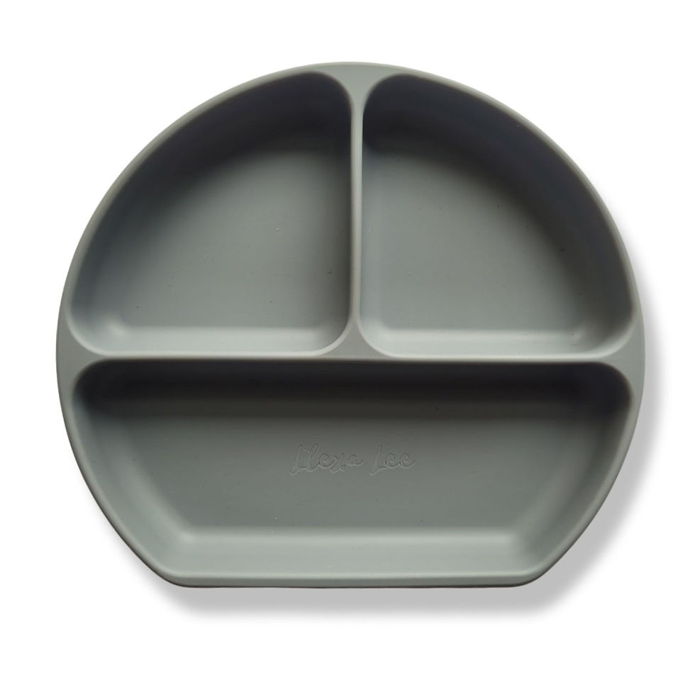 Thumbnail: SUCTION PLATE