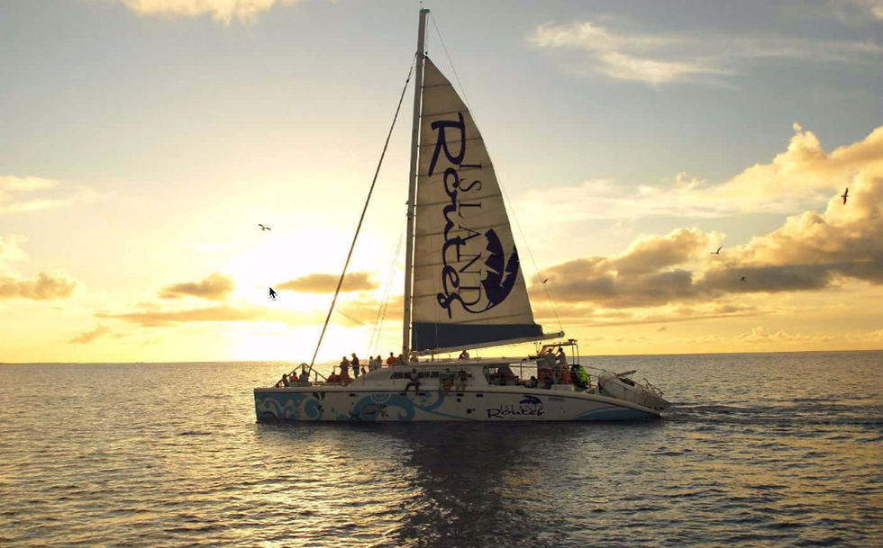 Beaches Turks and Caicos Activities.