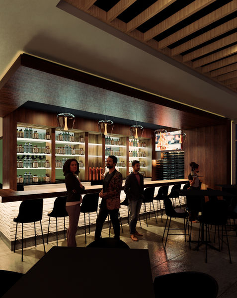 ROOTS - BAR SW CORNER.jpg