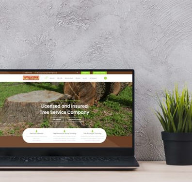 mdtreeexperts