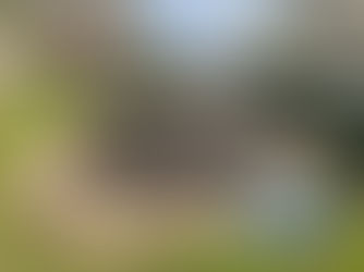 Why the Concrete Apron / Decking Must Come Out of Swimming Pool