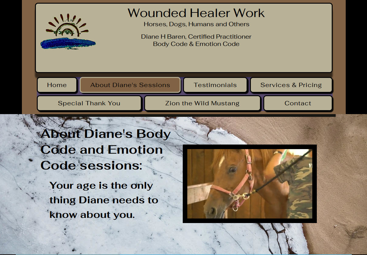 home-wounded-healer-work-healing-body-and-emotion-code-illinois