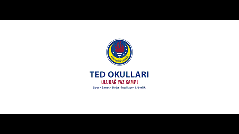 Future Stars | TED College Camp