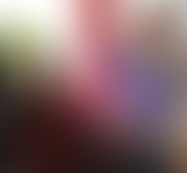 JUST WORLD INTERNATIONAL