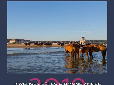 - Joyeuses Fêtes et Bonne Année 2019 -