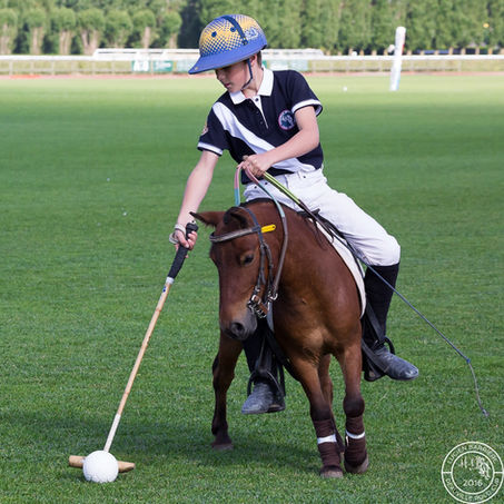 - Ouverture de la Saison 2016 -