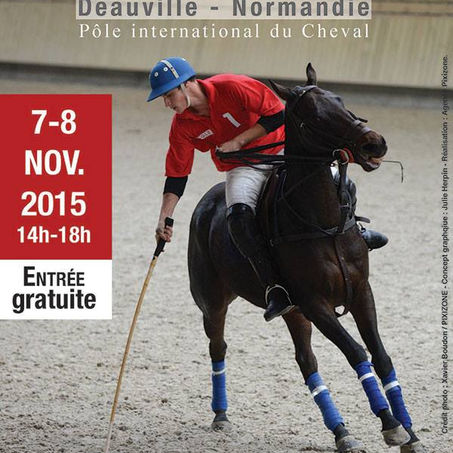 Arena Polo Cup au Pôle International du Cheval