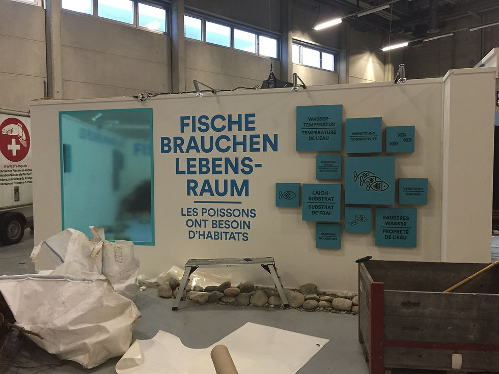 Fischen Jagen Schiessen 2016