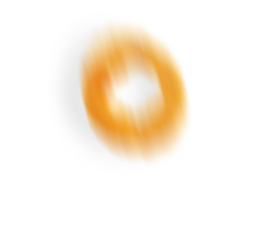 onionrings.png