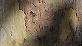 DSCF0626.jpg