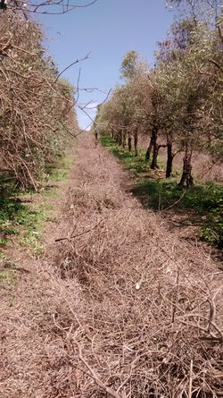 IMG_20140507_131625102