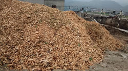 IMG_20151023_104515684