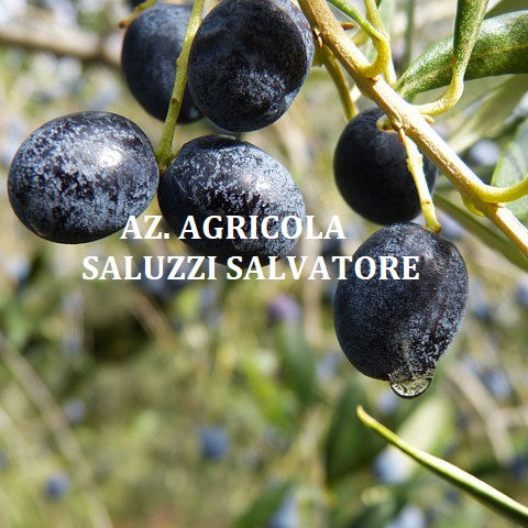 AZ.AGRICOLA SALUZZI SALVATORE