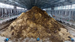 IMG_20150924_174313346