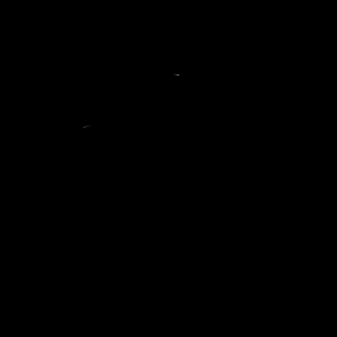 008.gif