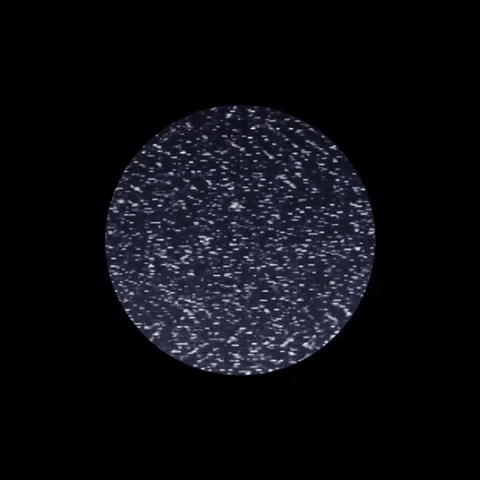 006.gif