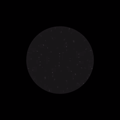 002.gif