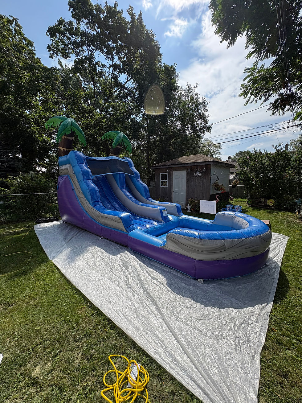Tropical slide ref 1.jpeg