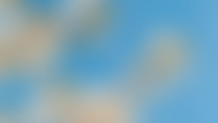 Freshen Up Your Home For Spring