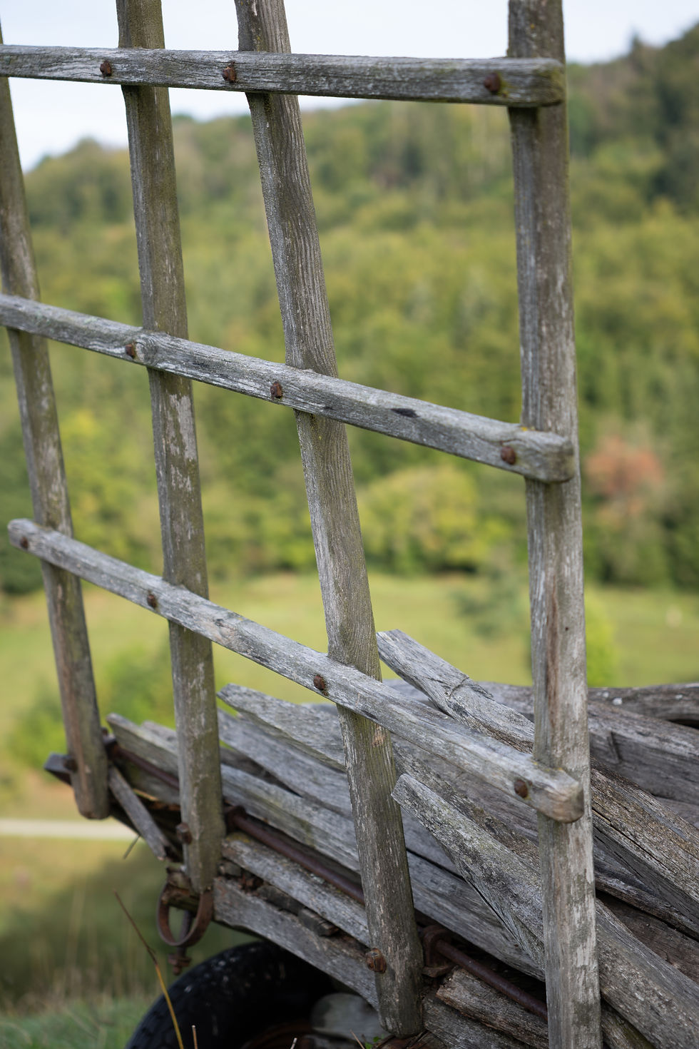 Leica SL3s + Sigma 28-70mm at 70mm SOOC