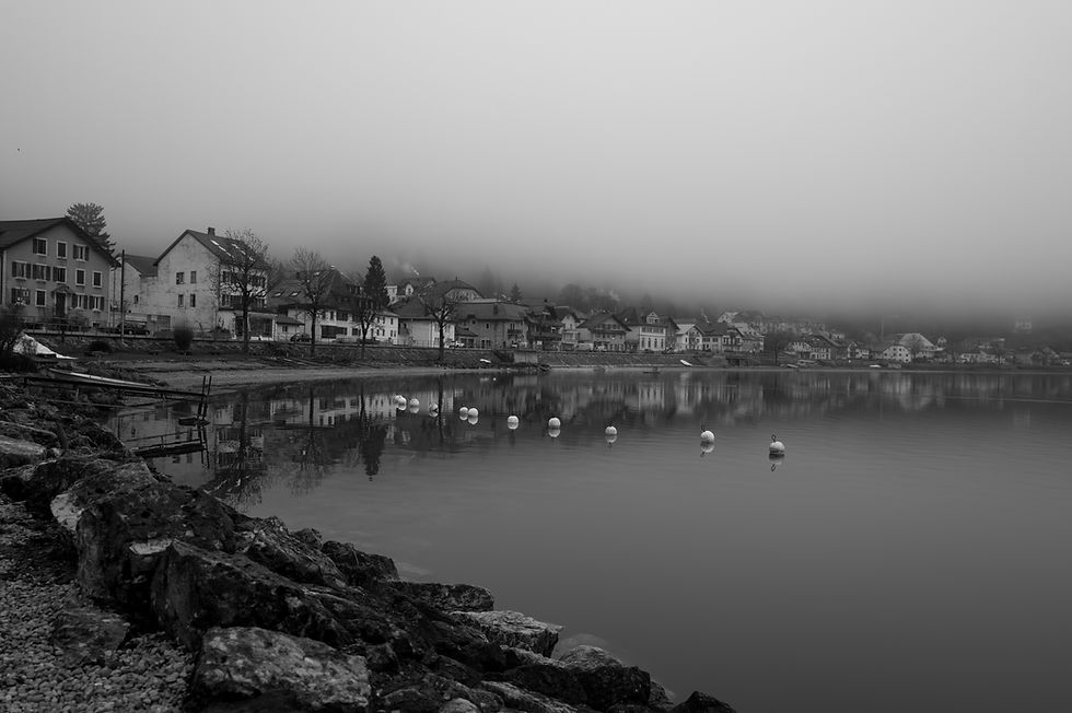 Leica Q3 monochrom - straight out of camera lac de Joux Switzerland