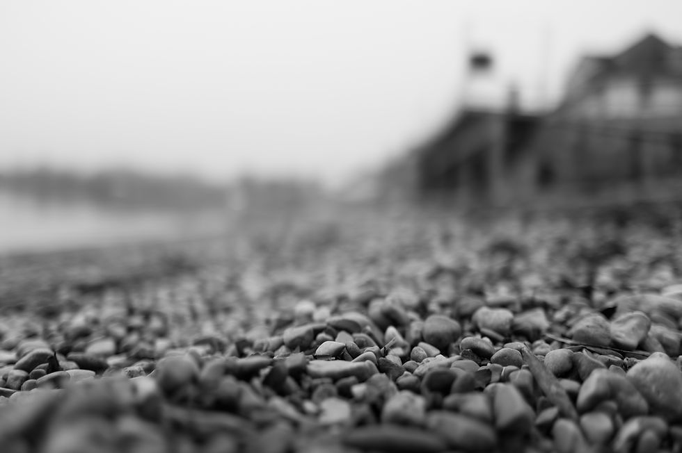 Leica Q3 monochrom - straight out of camera pebbles at the lake