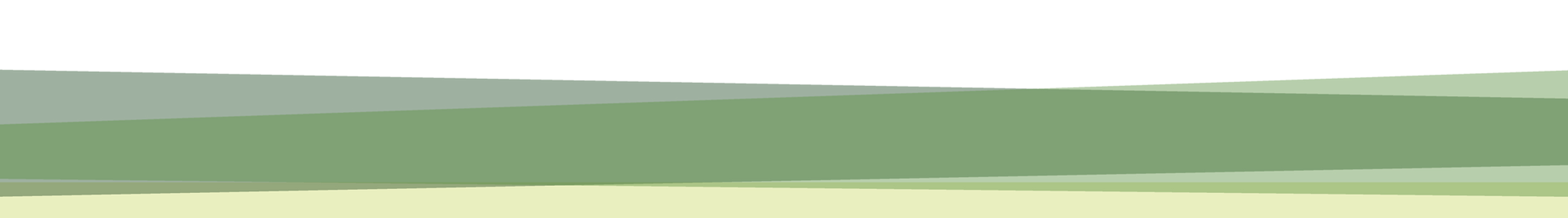 RAYAS6.png