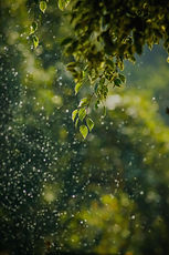 goutham-krishna-h5wvMCdOV3w-unsplash (1)_edited.jpg