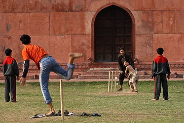 Cricket Match