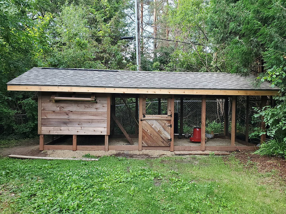 Backyard Chicken Coop - Side