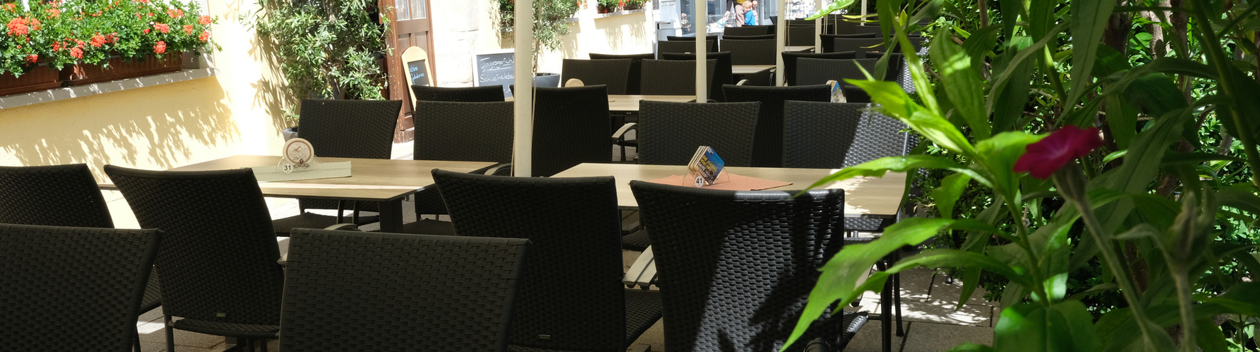 Sonniger Biergarten mit vielen Tischen und Stühlen