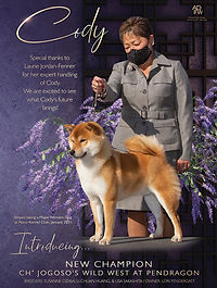 CATALOG-ADFW-JESS-01-27-JANUARY-SAKASHITA-2.jpg