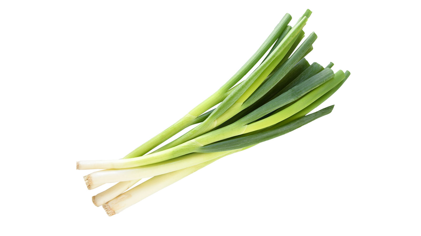 Scallions