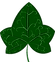 ivyleaf.png
