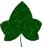 ivyleaf.png