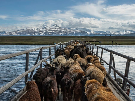 De ritmes van seizoenen, kuddes en eindeloze landschappen