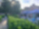 Garden party
