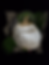 Thumbnail: The Oomph