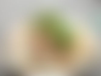 さっぱり!!梅じそぶっかけそうめん