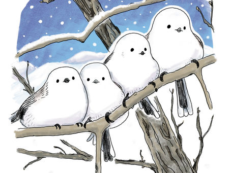 雪の妖精・シマエナガ